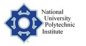 National University Polytechnic Institute