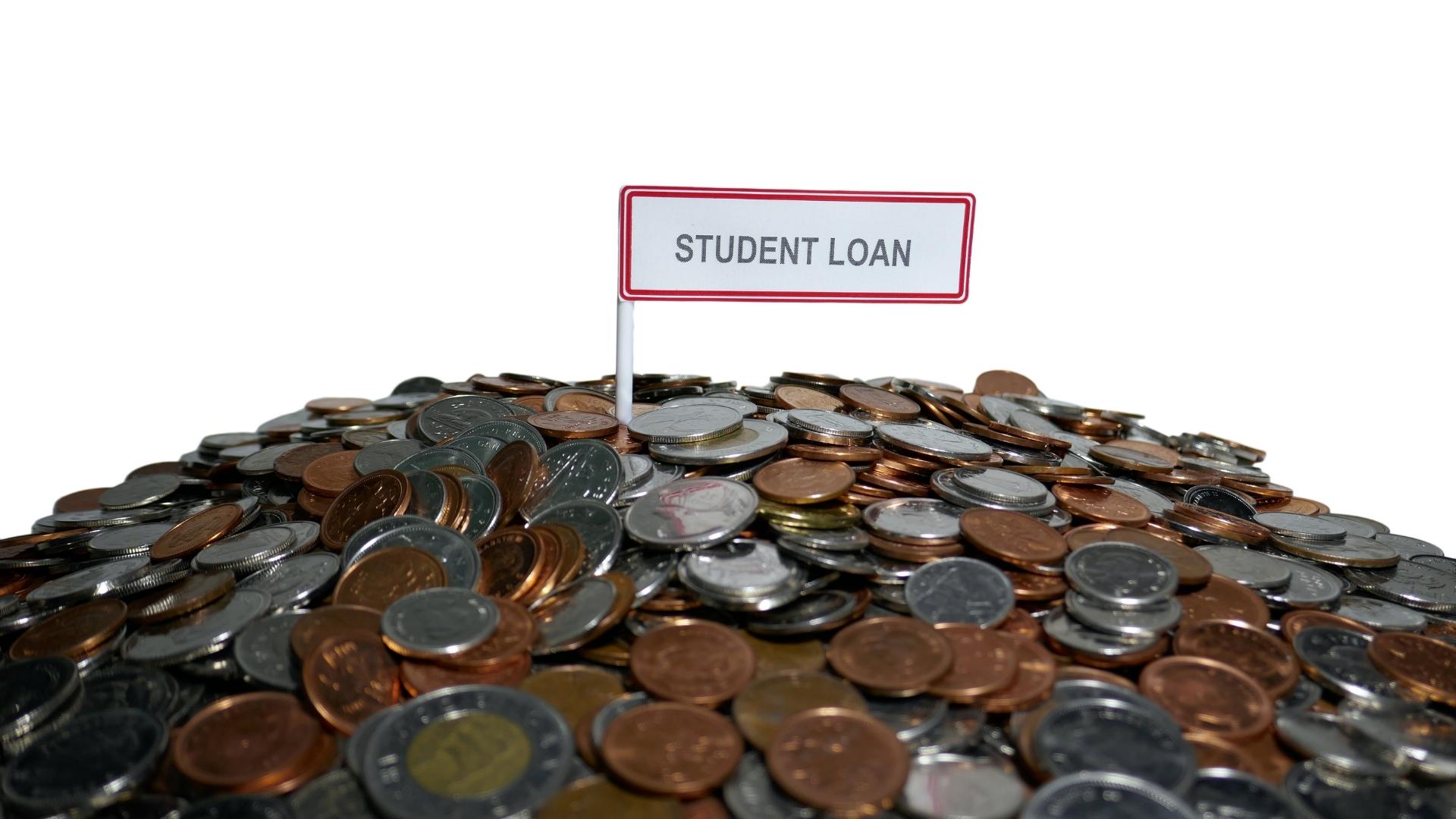 a mountain of pennies - student loan concept