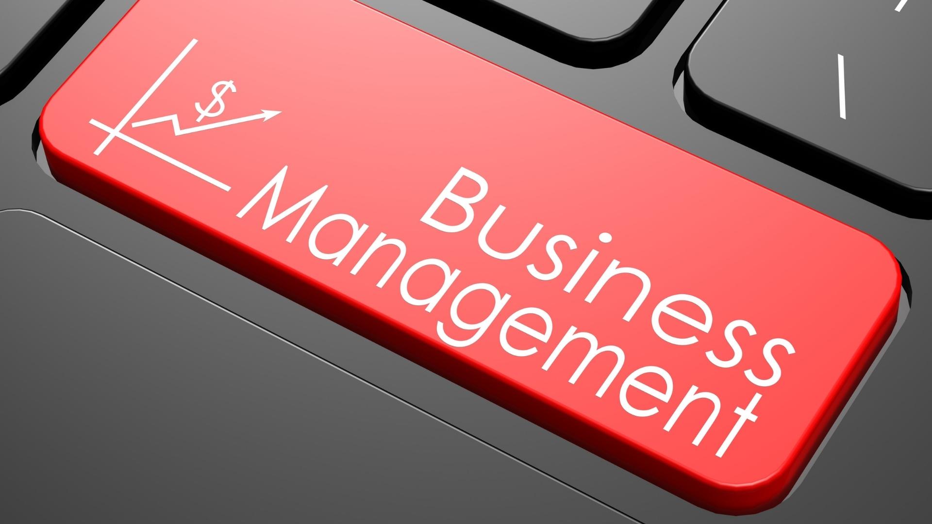 business management concept