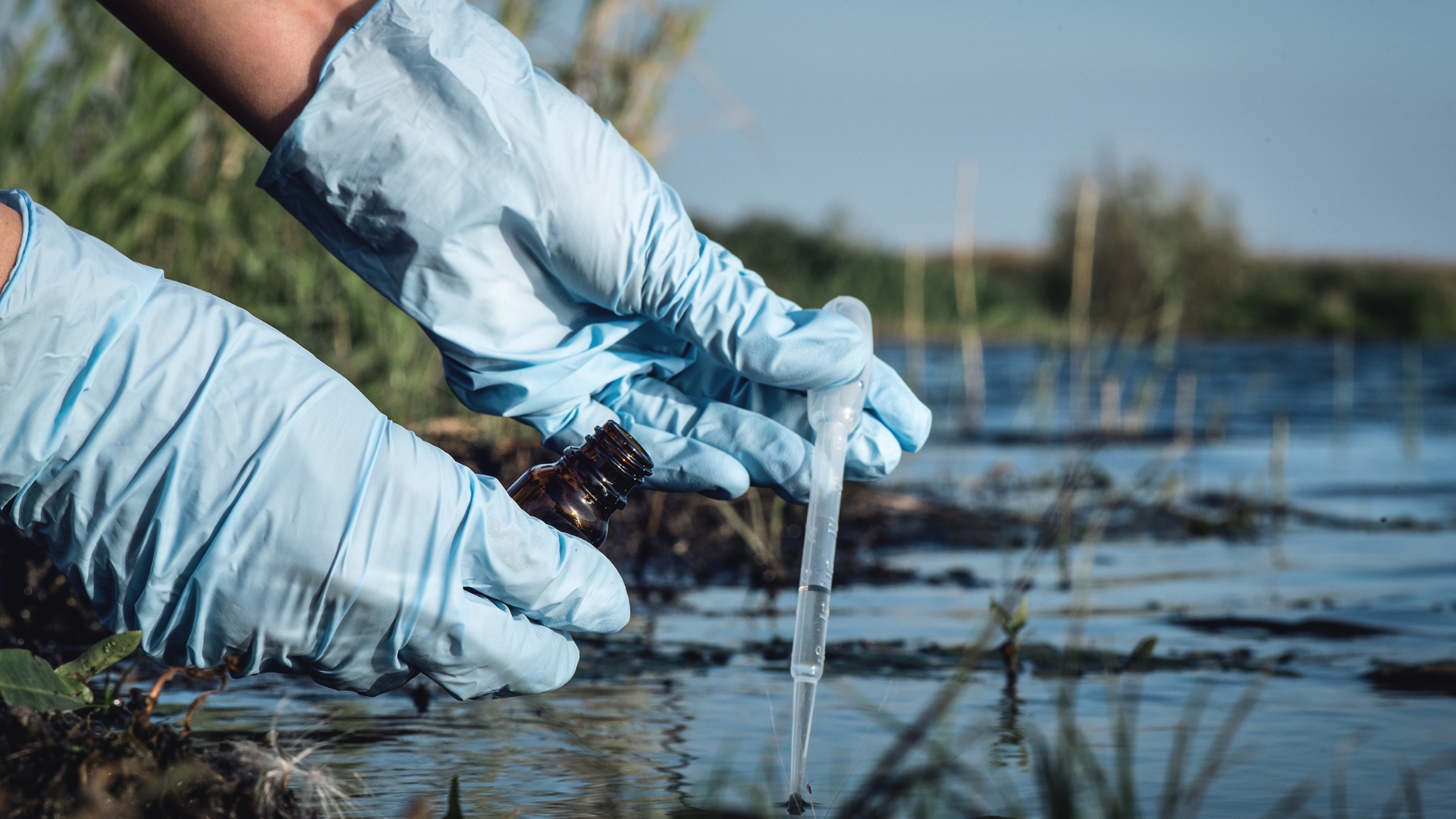 Best Online Bachelor's in Environmental Science - featured image