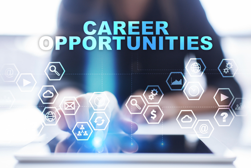Legal System Careers