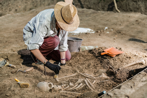What is the Difference Between a BS and BA in Anthropology?