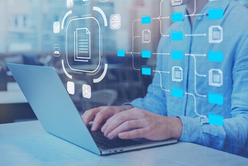 Career Pathways for Online Bachelor's in Data Management Graduates