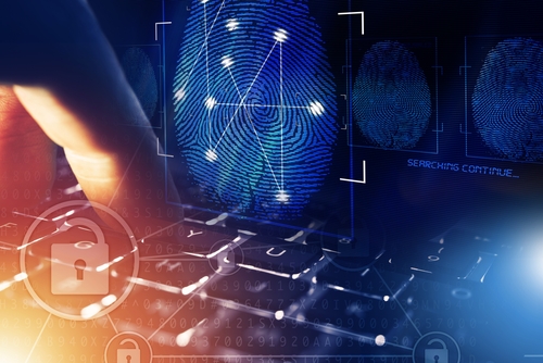 Sought-after Skills of Online Bachelor's in Computer Forensics Graduates